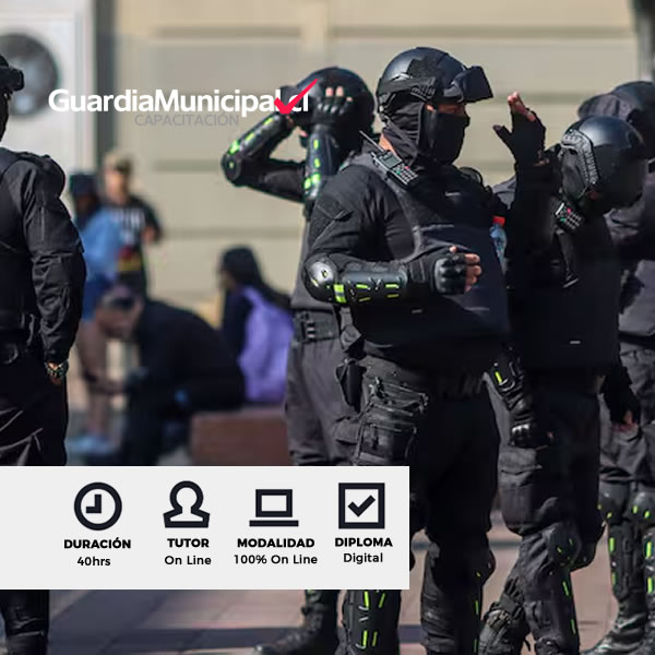 Curso Violencia Intrafamiliar y Protección de Víctimas para Inspectores Municipales